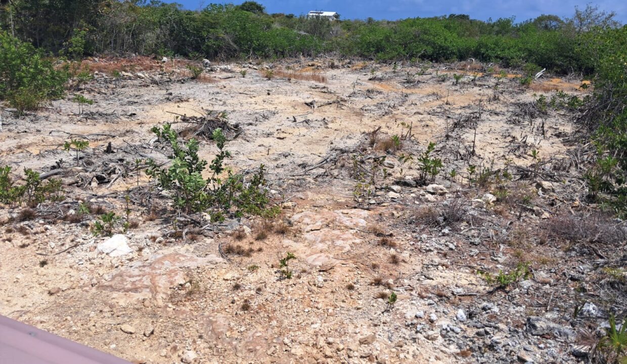 Two Secret Beach Oversize Lots
