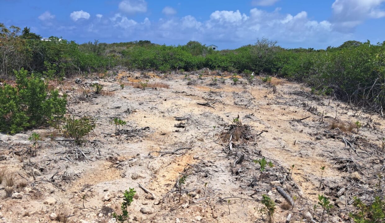 Two Secret Beach Oversize Lots