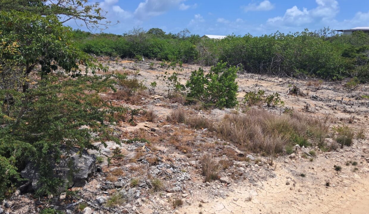 Two Secret Beach Oversize Lots