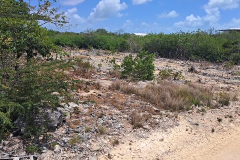 Two Secret Beach Oversize Lots