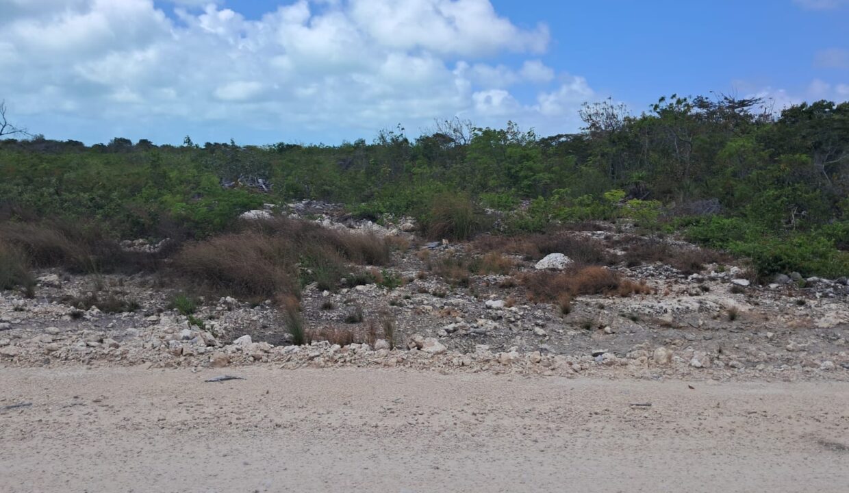 Two Secret Beach Oversize Lots