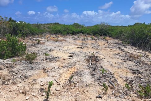 Two Secret Beach Oversize Lots