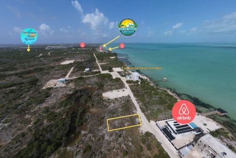 image (1)