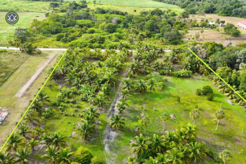 progresso-belize-waterfront-estate-investment-opportunity-min-1-copy-scaled