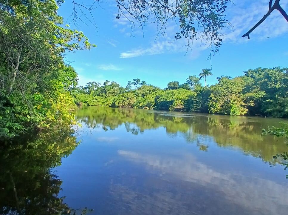 Beautiful Riverfront Home in Burrell Boom