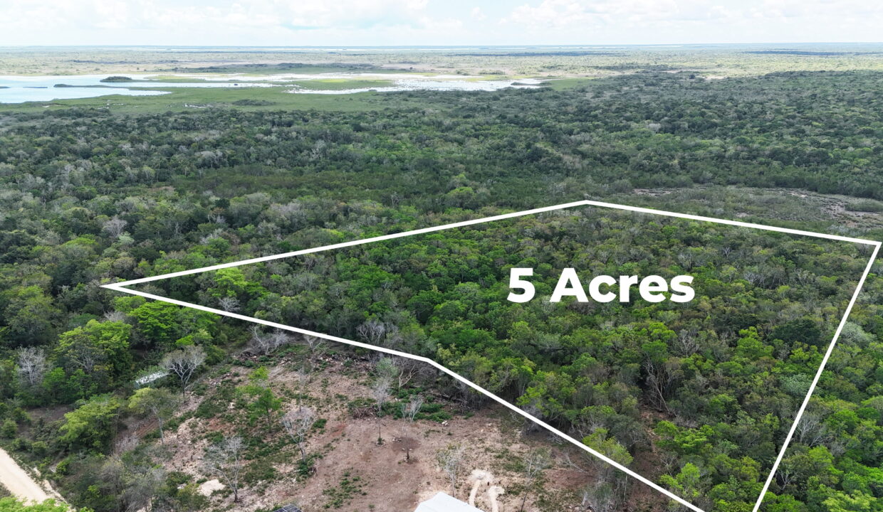 belize-coastal-property-for-sale-waree-bight-corozal-5-acres-ocean-near (1)