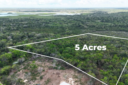 belize-coastal-property-for-sale-waree-bight-corozal-5-acres-ocean-near (1)