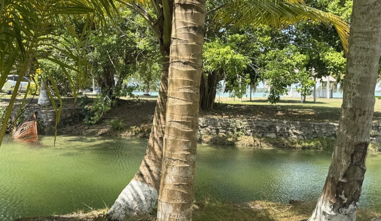 belize-retirement-property-waterfront