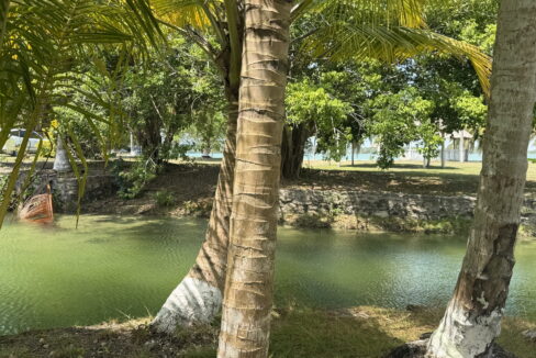 belize-retirement-property-waterfront