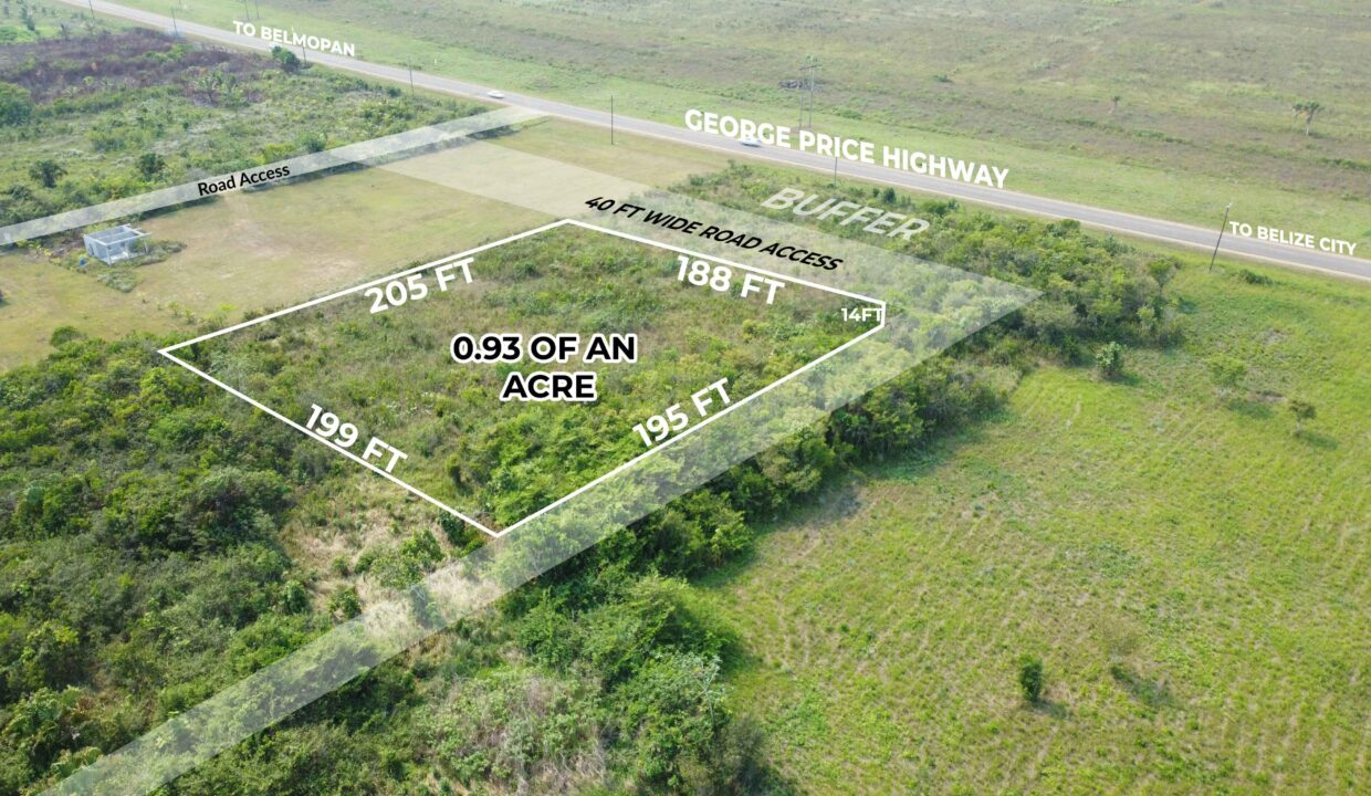 commercial-parcel-on-western-highway-harmonyville-belize