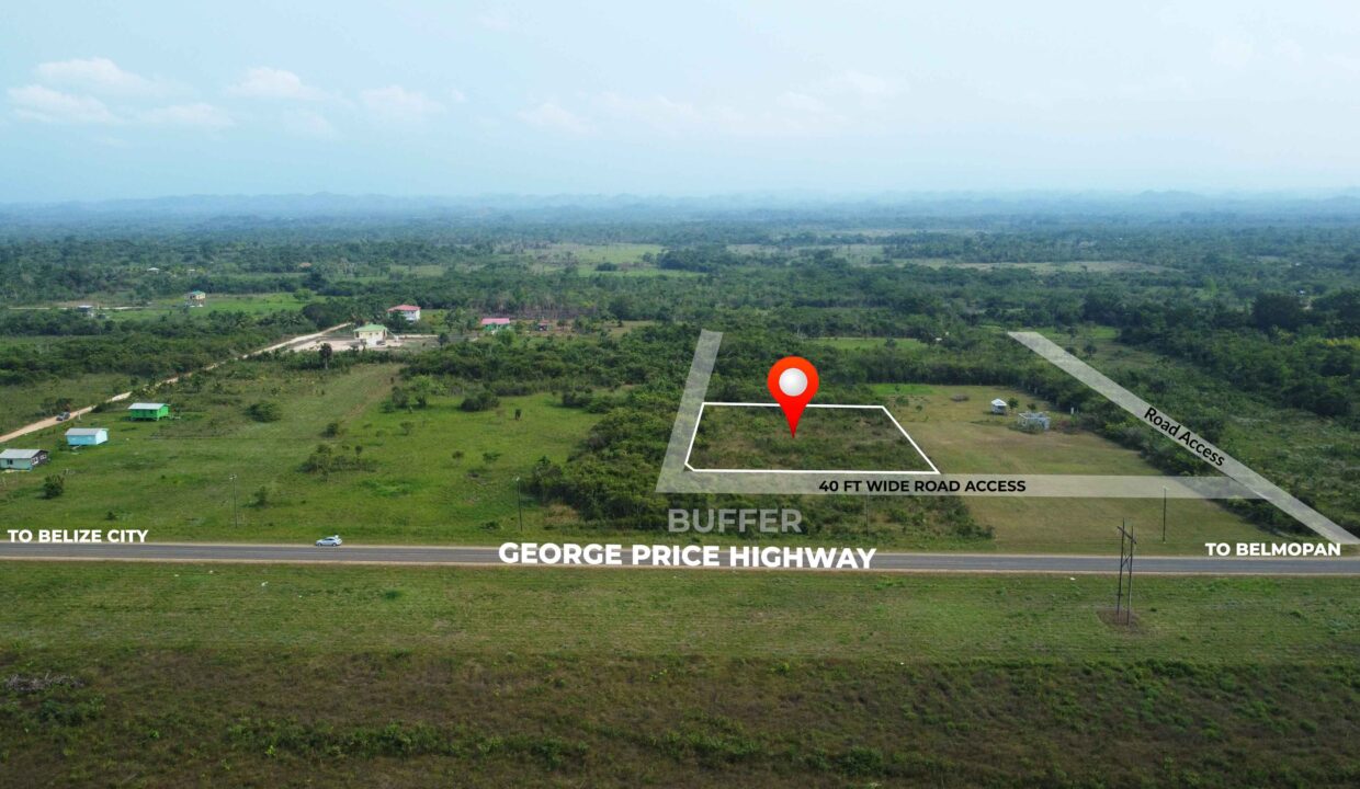 highway-front-land-for-sale-harmonyville-cayo-belize