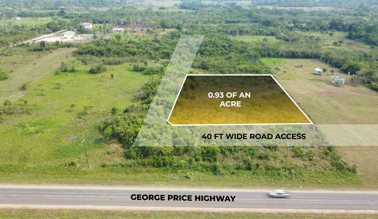 highway-frontage-land-cayo-district-belize-for-sale