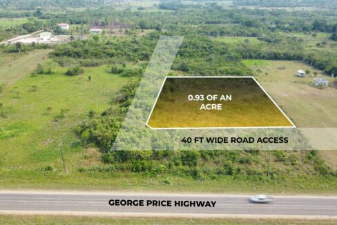 highway-frontage-land-cayo-district-belize-for-sale