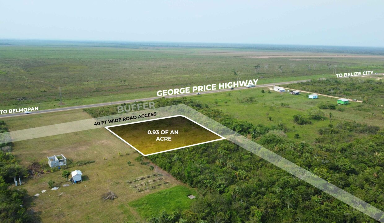 investment-property-harmonyville-belize-highway-access