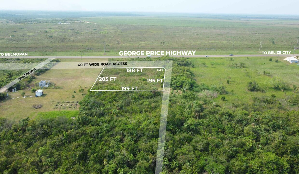 roadside-property-harmonyville-cayo-real-estate-belize