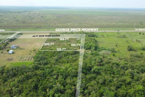 roadside-property-harmonyville-cayo-real-estate-belize
