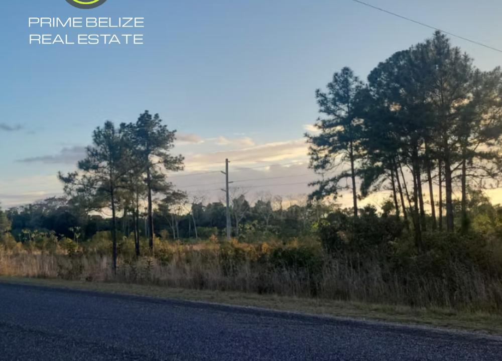 100-Acres-farmland-near-Santa-Cruz-Village
