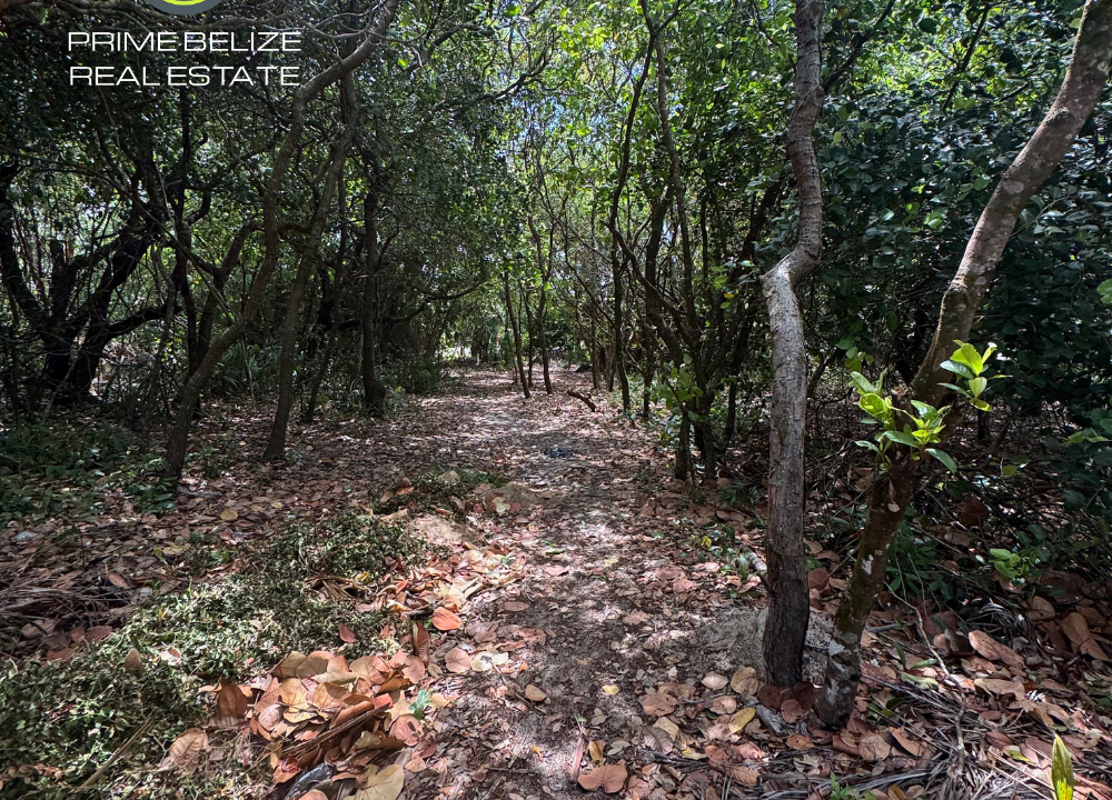 150ft-beachfront-lot