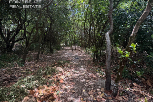 150ft-beachfront-lot