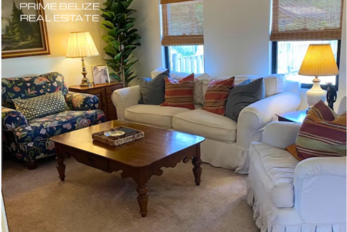 PH0072-large-living-room