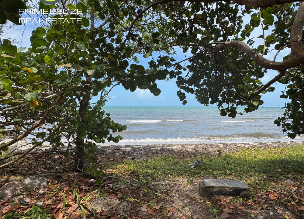 PL0233-beachfront-lot-near-resorts-placencia