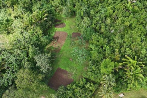 PR-F108-03-AERIAL-GARDEN-VIEW-1-1-1170x720