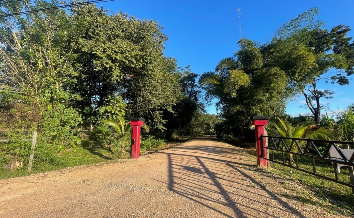 PR-F108-05-driveway-1-1170x785