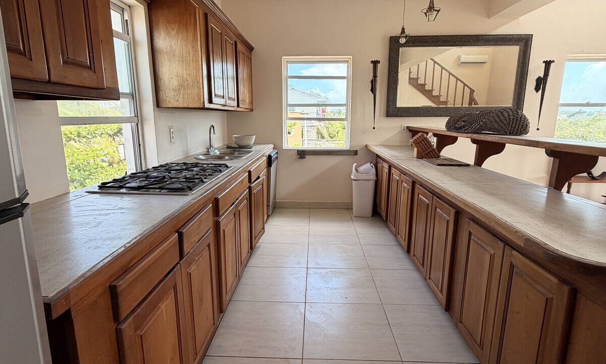 ambergris-caye-canal-front-home-kitchen-cabinetry