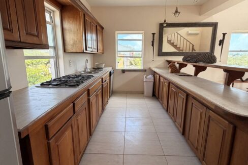 ambergris-caye-canal-front-home-kitchen-cabinetry