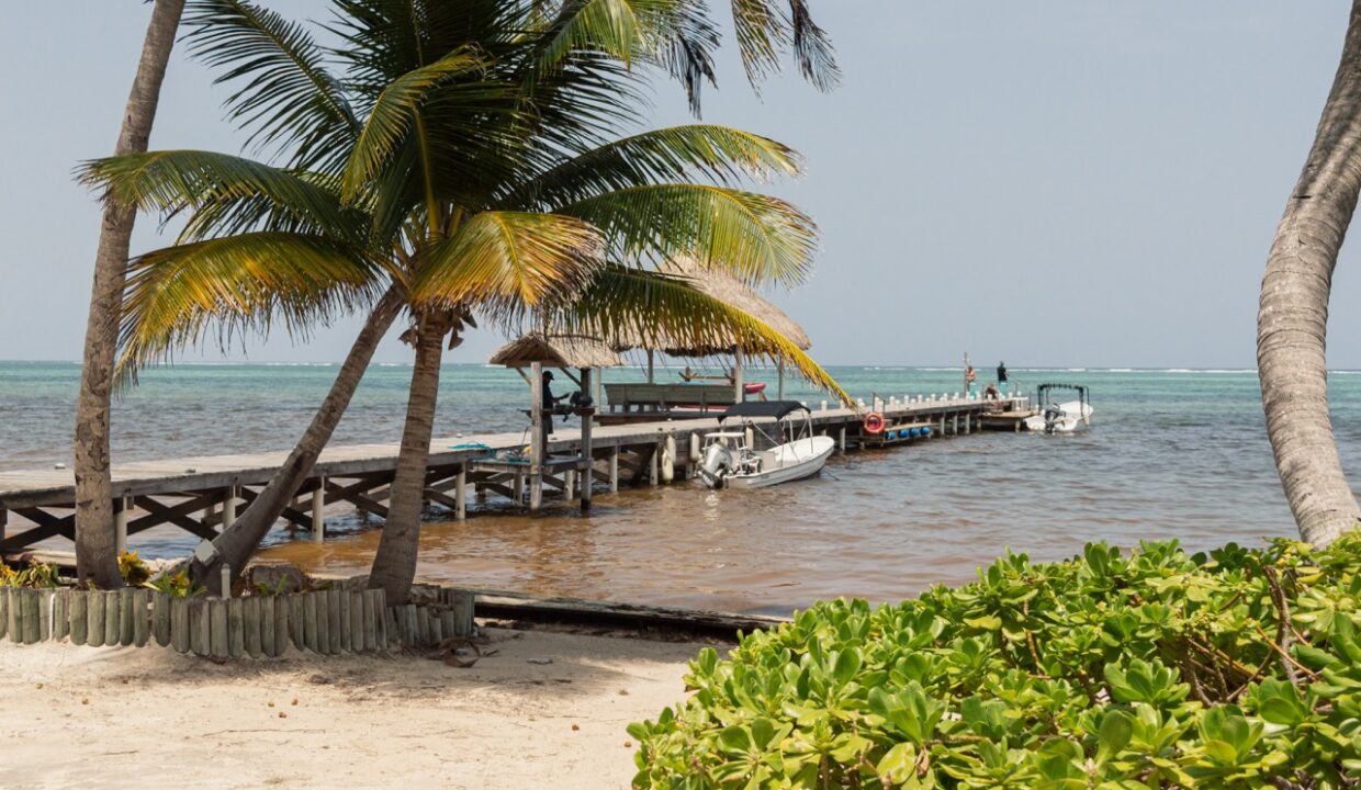 DSC_0562-Large