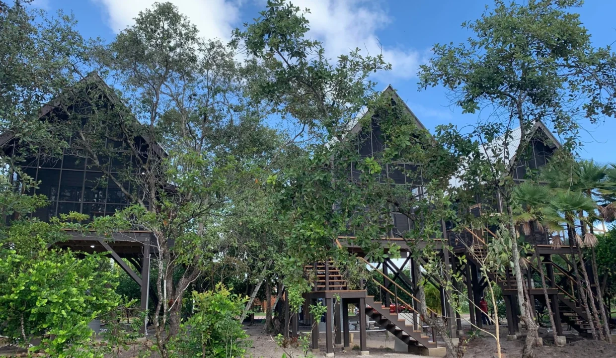 kellerwilliamsbelize-b1009-02
