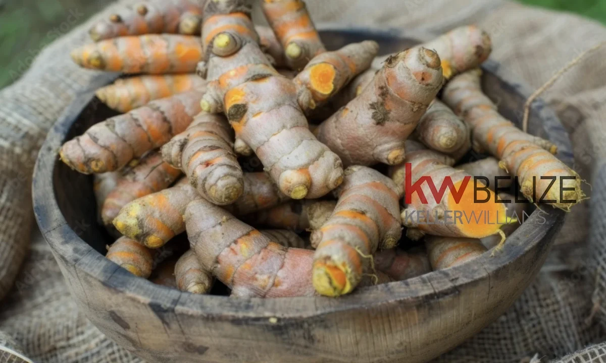 kellerwilliamsbelize-b272412pg-04