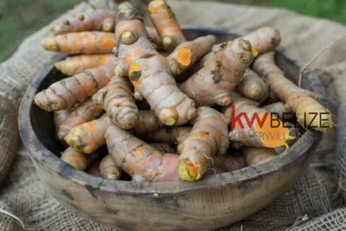 kellerwilliamsbelize-b272412pg-04