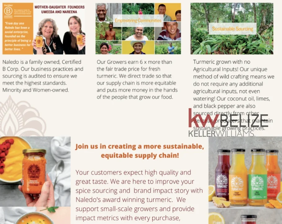 kellerwilliamsbelize-b272412pg-09