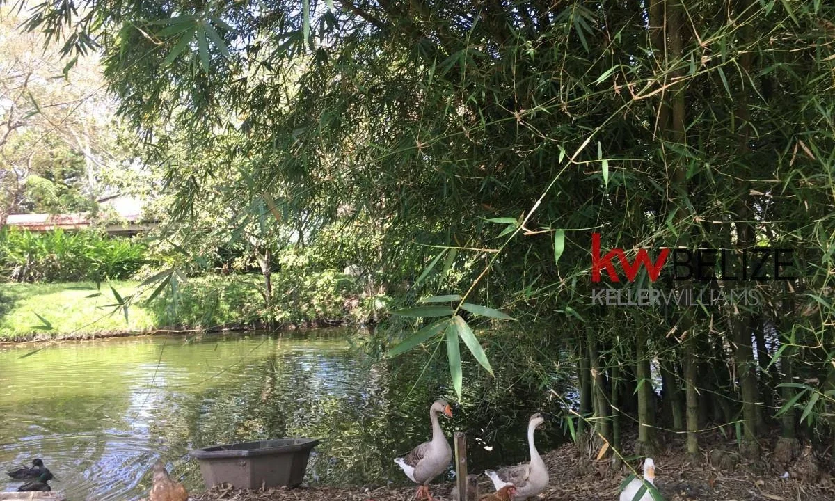 kellerwilliamsbelize-c181803bp-13