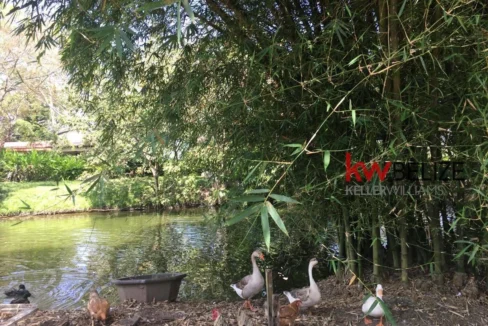 kellerwilliamsbelize-c181803bp-13