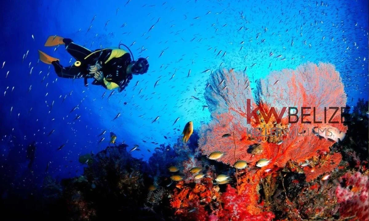 kellerwilliamsbelize-c222501sp-19