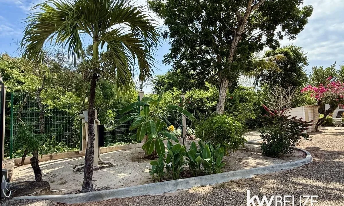 kellerwilliamsbelize-h2109-55
