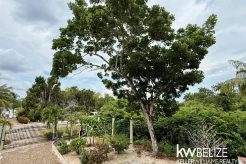 kellerwilliamsbelize-h2109-57