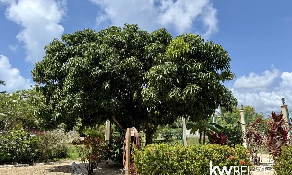 kellerwilliamsbelize-h2109-60