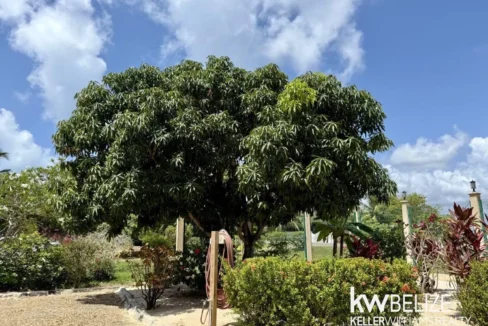 kellerwilliamsbelize-h2109-60