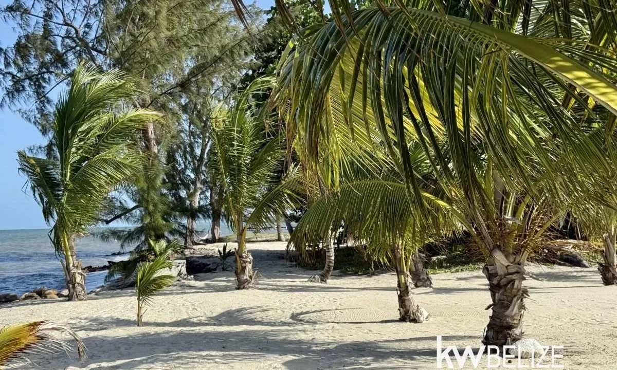 kellerwilliamsbelize-h2112-47