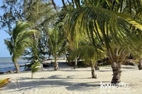 kellerwilliamsbelize-h2112-47