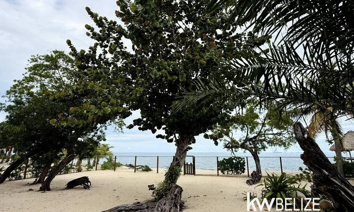 kellerwilliamsbelize-h2127-02