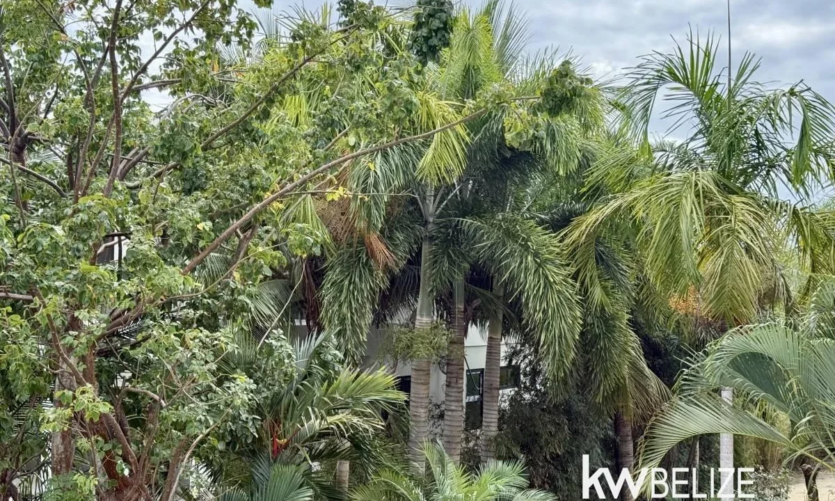 kellerwilliamsbelize-h2127-32