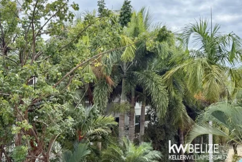 kellerwilliamsbelize-h2127-32