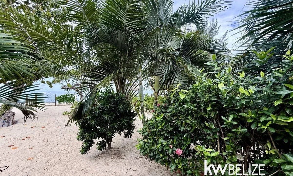 kellerwilliamsbelize-h2127-42