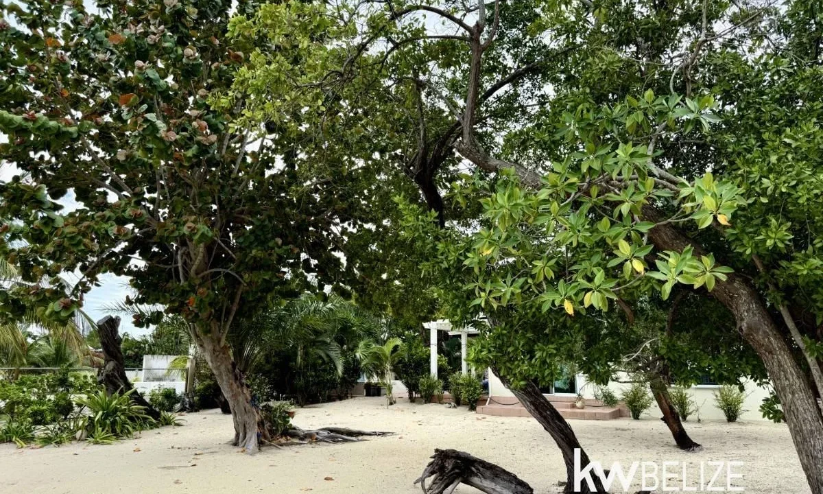 kellerwilliamsbelize-h2127-43