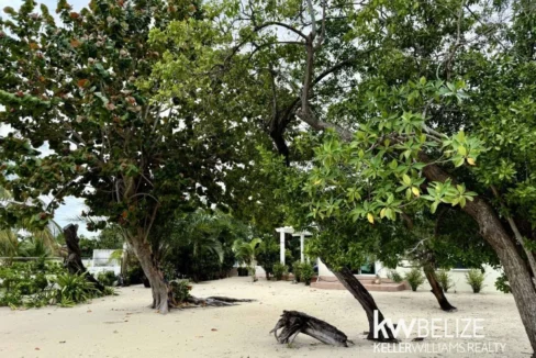 kellerwilliamsbelize-h2127-43
