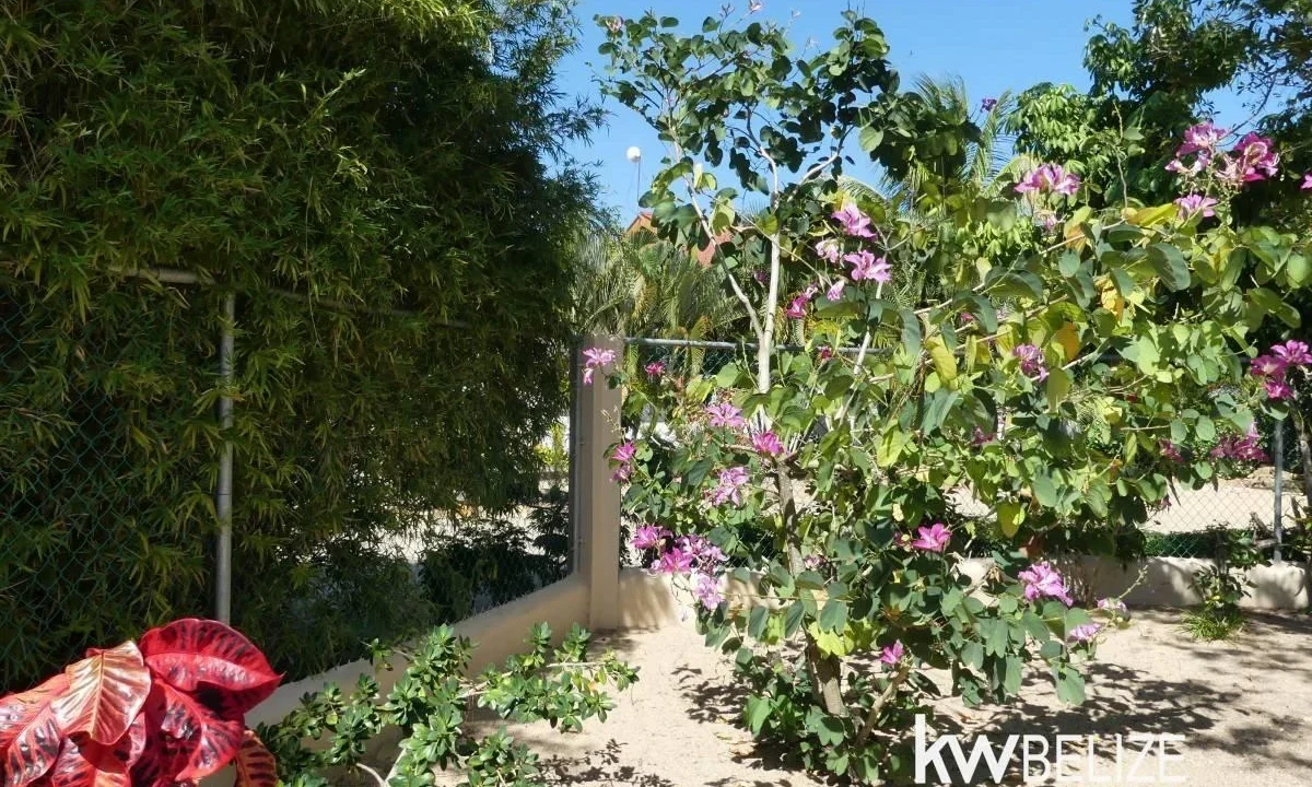 kellerwilliamsbelize-h2127-47
